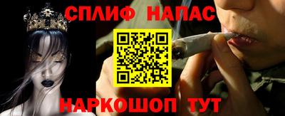 стаф Донецк