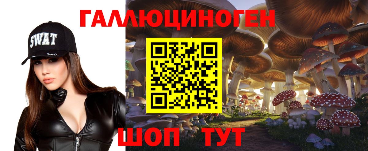 Псилоцибиновые грибы Psilocybe Малоярославец